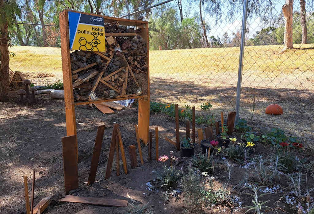 azcapotzalco-mariposario-papalotitlan---