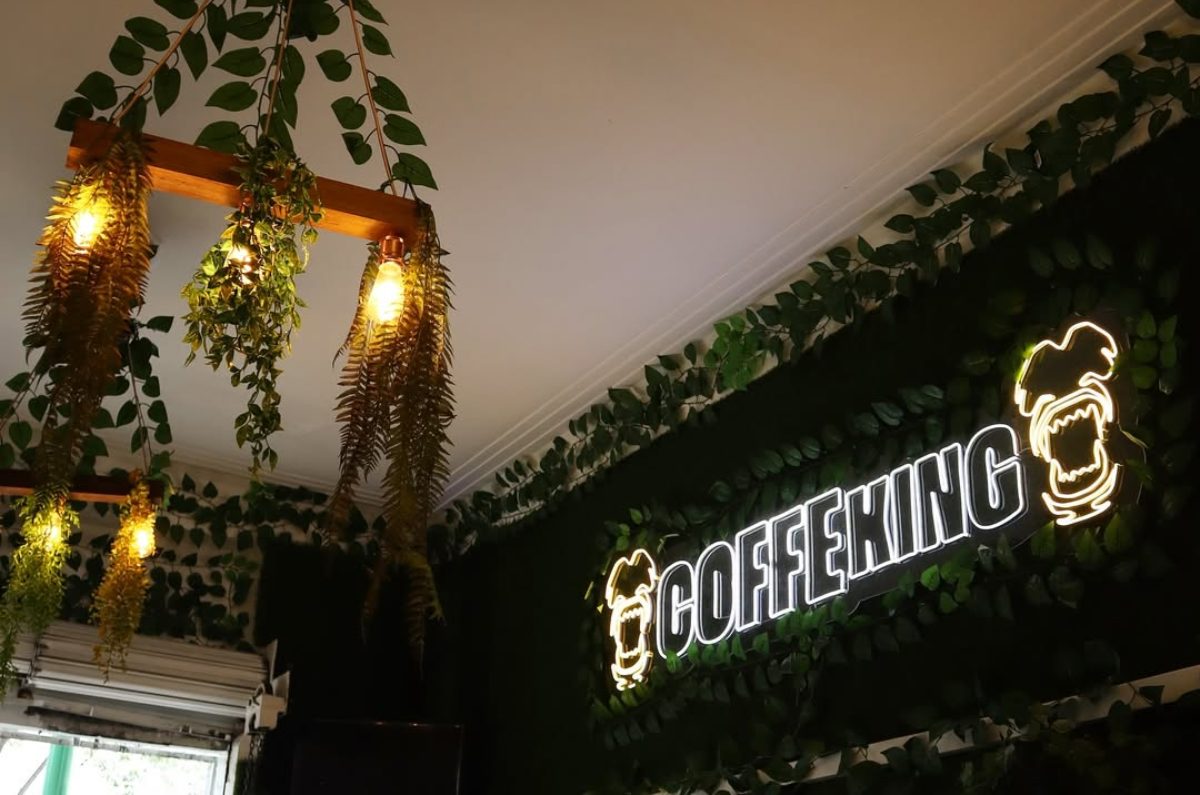 Cafetería temática de la selva en la Cuauhtémoc ¡Así es Coffe King!