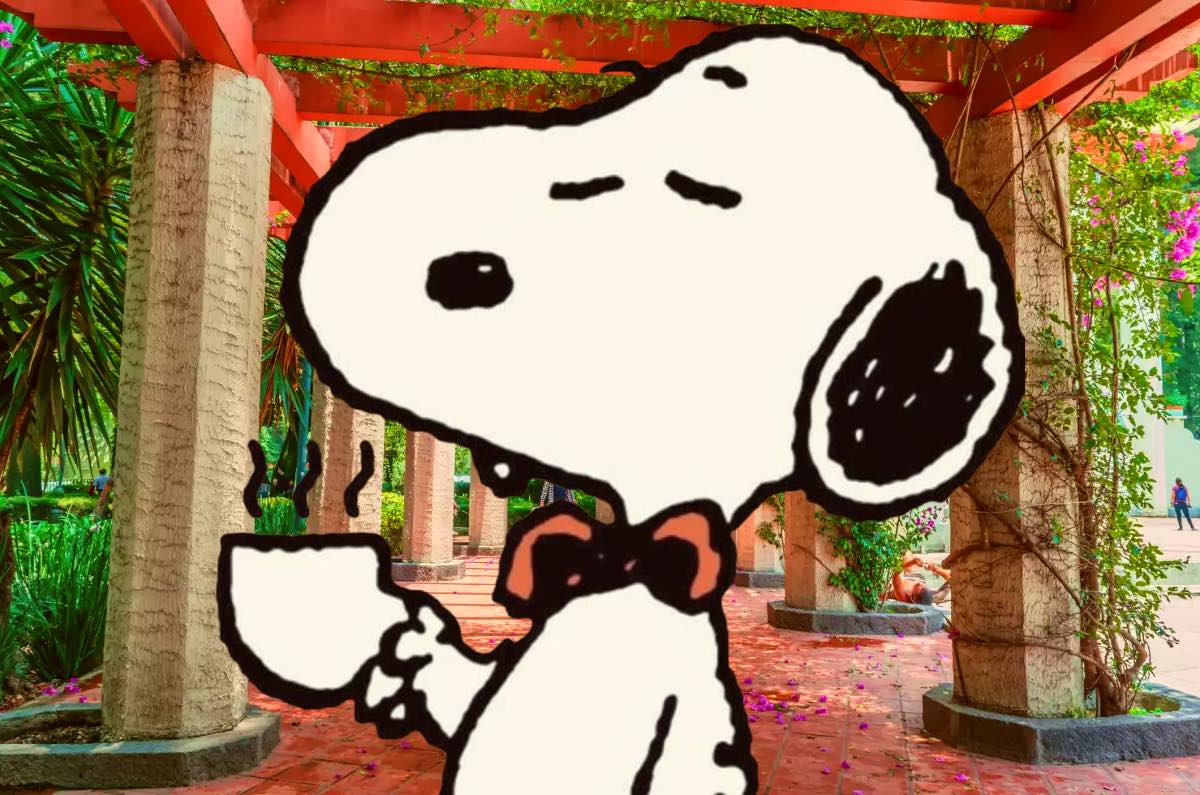 Casa Snoopy: ¡Reservación y precios de la cafetería en CDMX!