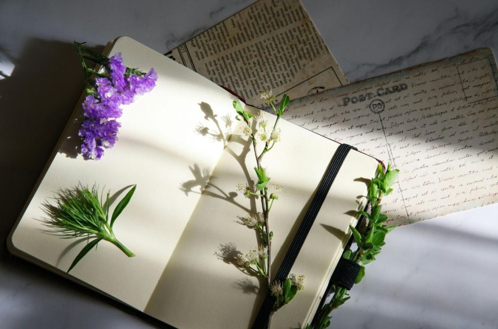 Checa las actividades y talleres de primavera del Palacio Postal 