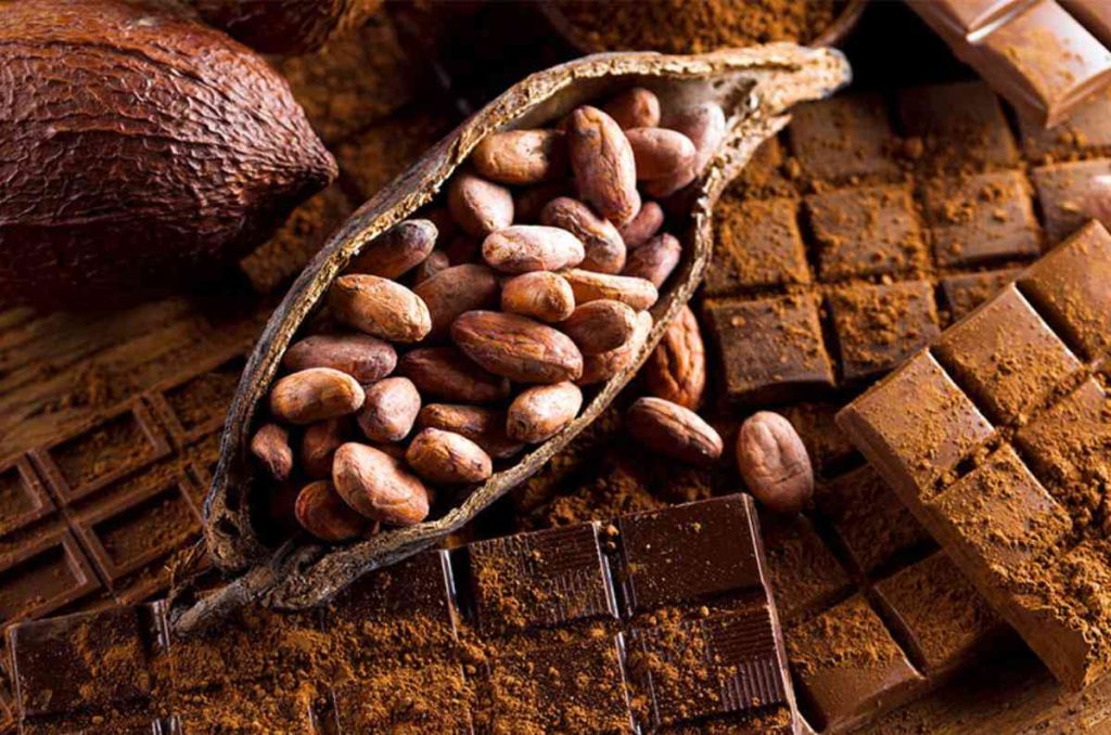 El lado científico del cacao: visita Ciencia con sabor a chocolate, la nueva exposición del Universum