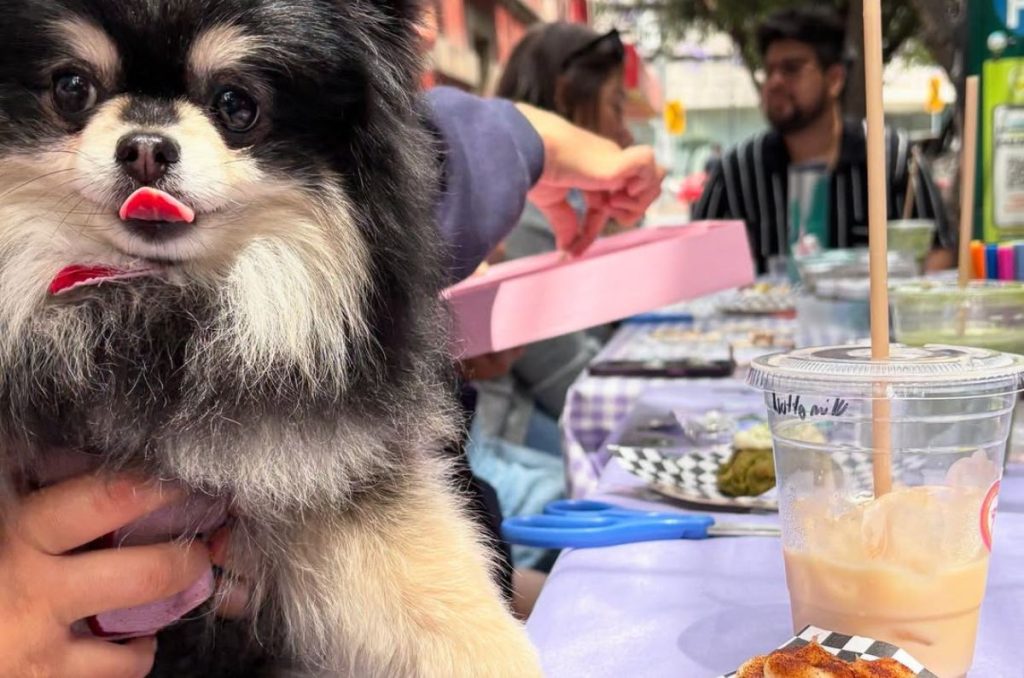 ¿Qué es lo que hace único a Kiji Condesa? 