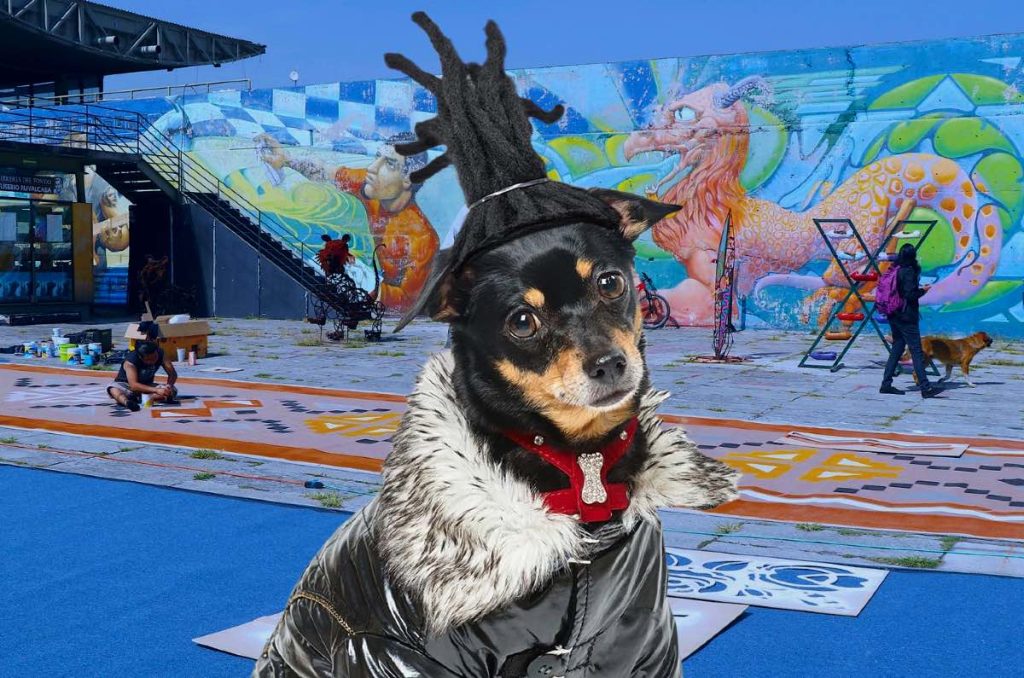 Día del Perro Callejero en CDMX: ¡Esterilizaciones gratis y música!