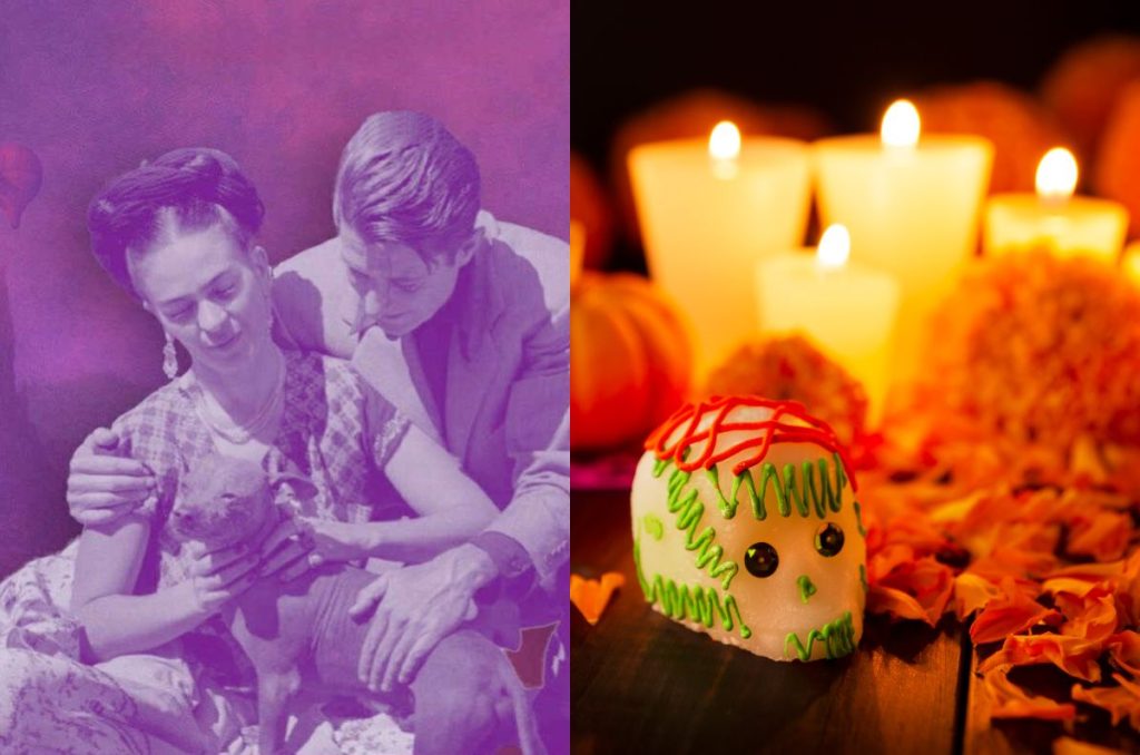 El Museo de Frida Kahlo tendrá su ofrenda de Día de Muertos 2025