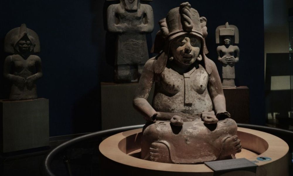 Exhibiciones y colecciones