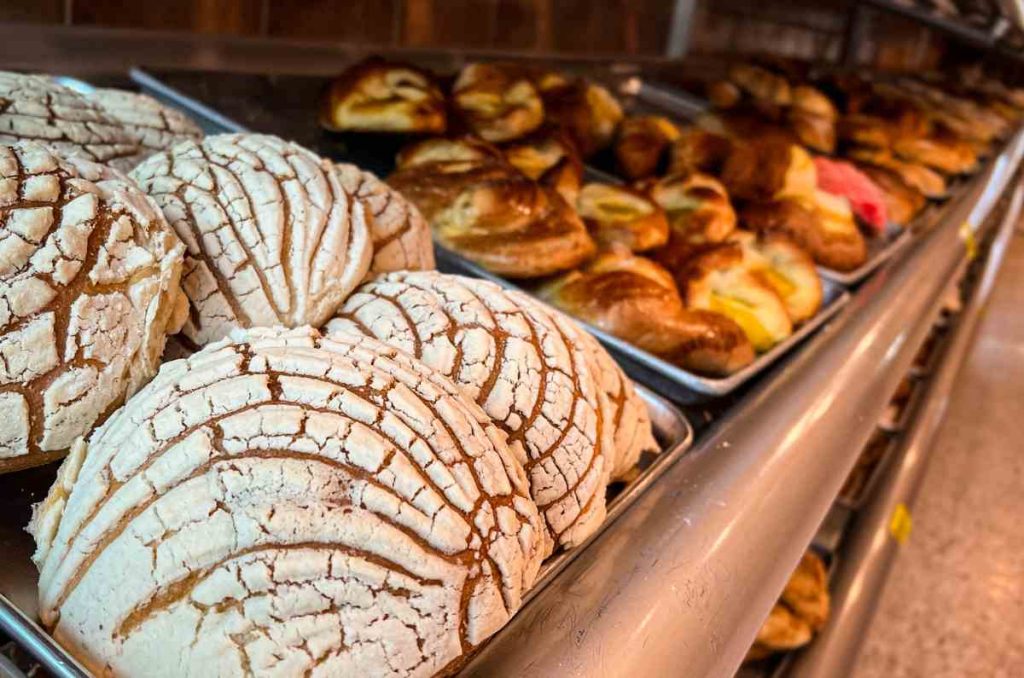 Dónde ir este fin de semana del 5 al 7 de diciembre de 2025 en CDMX