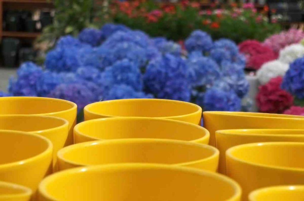 Llega el Festival de Macetas 2026 a Polanco: música, comida y plantas en un solo lugar