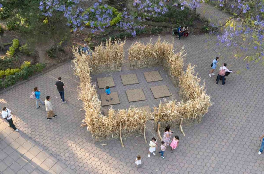 FYJA vuelve a Polanco del 30 de abril al 3 de mayo de 2026 con diseño floral, paisaje urbano e intervenciones en Parque América, Lincoln, Masaryk y Polanquito. Conoce sus convocatorias.