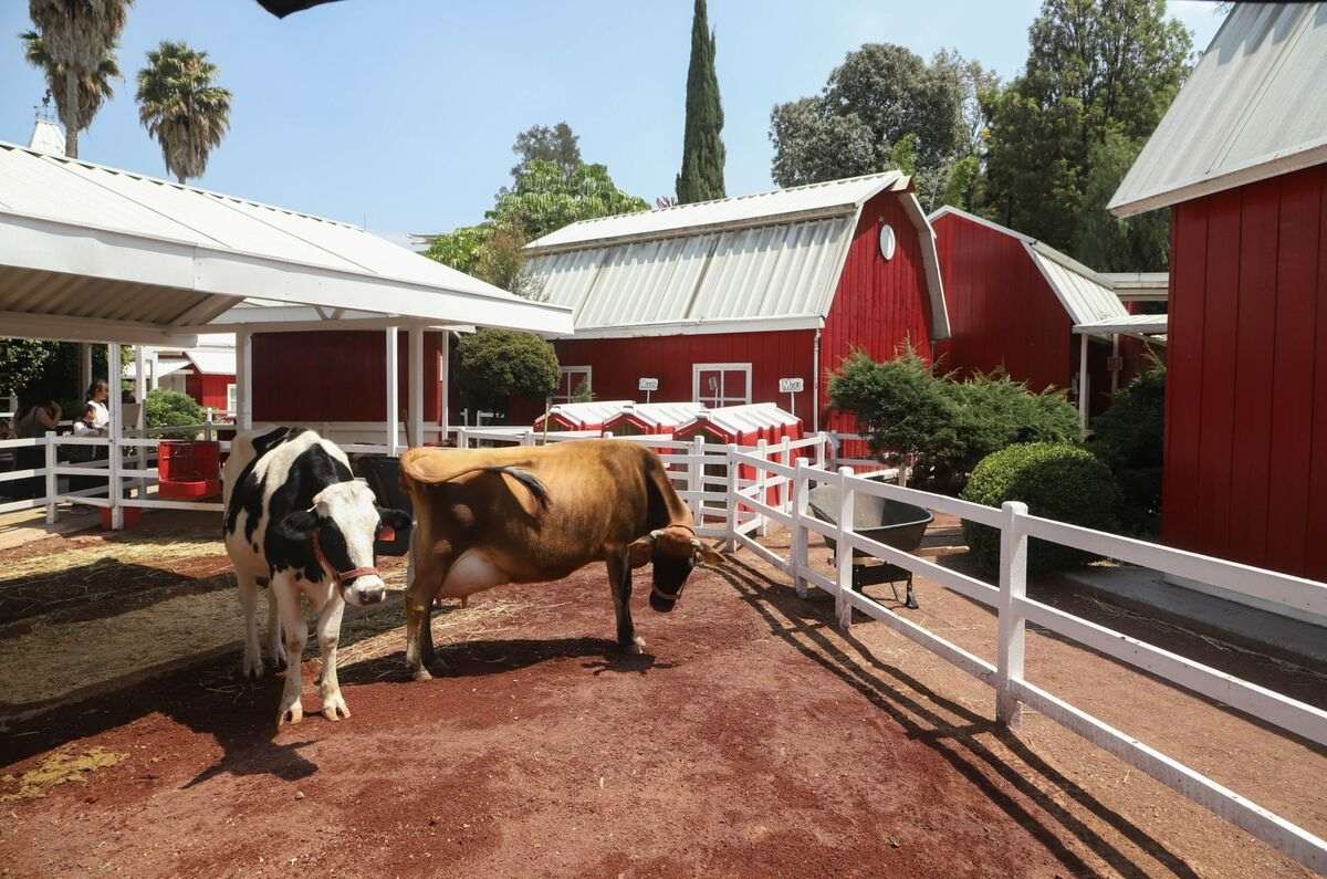 Fotos: Edgar Negrete Lira/Cuarto Oscuro 