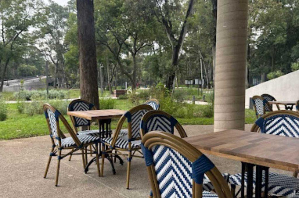 Conoce esta cafetería del jardín escénico, un oasis en la ciudad con un vista llena de arboles y platos increíbles.