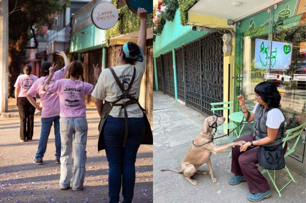 Latte Pelitos: la cafetería pet friendly donde tu mascota vive la experiencia completa