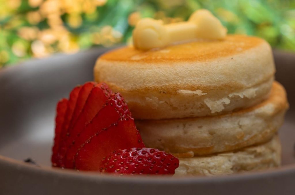 Latte Pelitos: la cafetería pet friendly donde tu mascota vive la experiencia completa