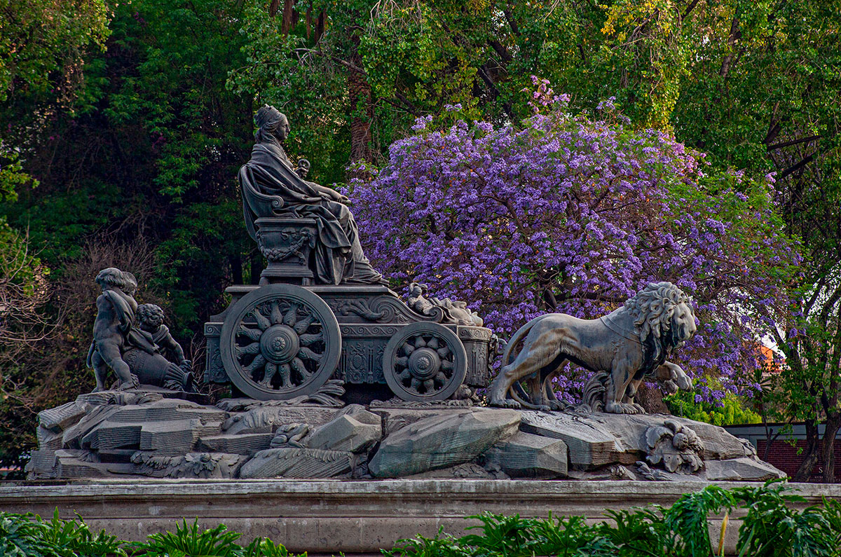 Colonia Roma / Donde Ir