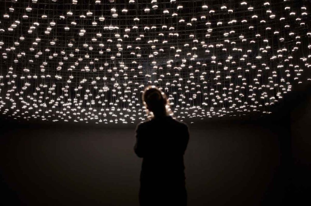Rafael Lozano-Hemmer llega al MAM con la exposición nocturna Jardín inconcluso