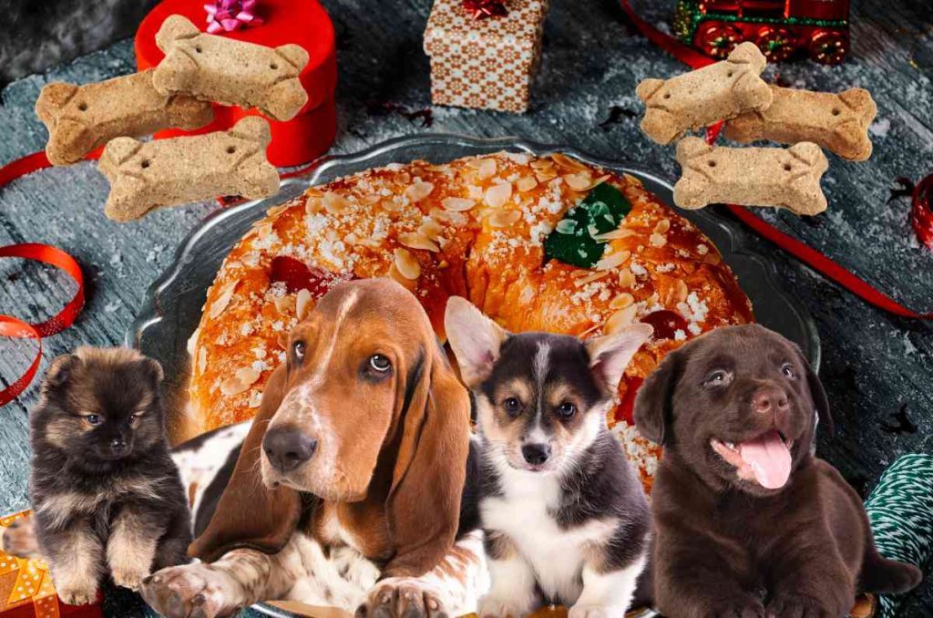 Buscan romper récord con la Rosca de Reyes más grande del mundo en CDMX ¡es para perritos!