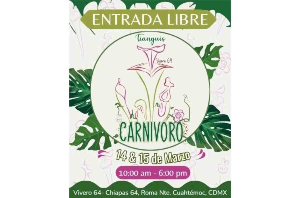Tianguis Carnívoro: plantas carnívoras, talleres y entrada libre