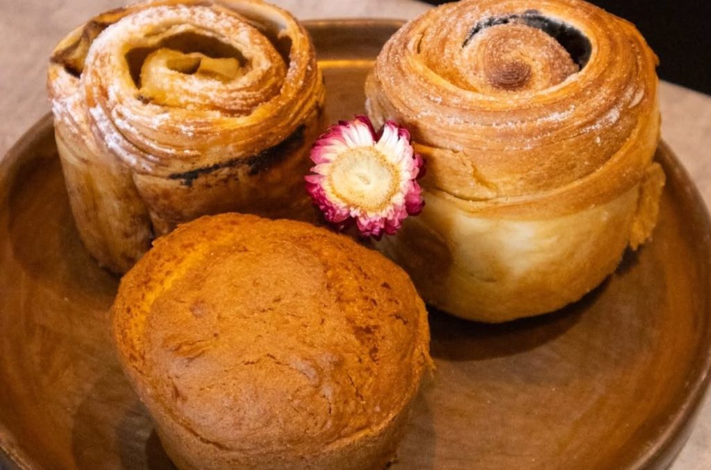 ¿Qué más encontrar en Tierra México? 