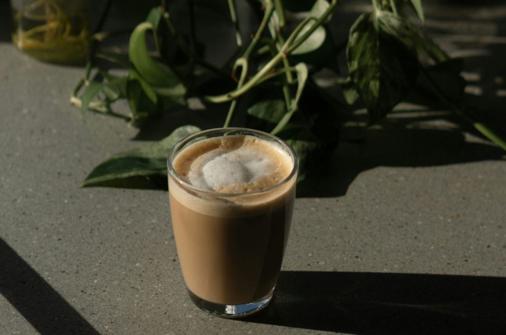 Un cafecito entre plantas: descubre Tierra Viva en Coyoacán