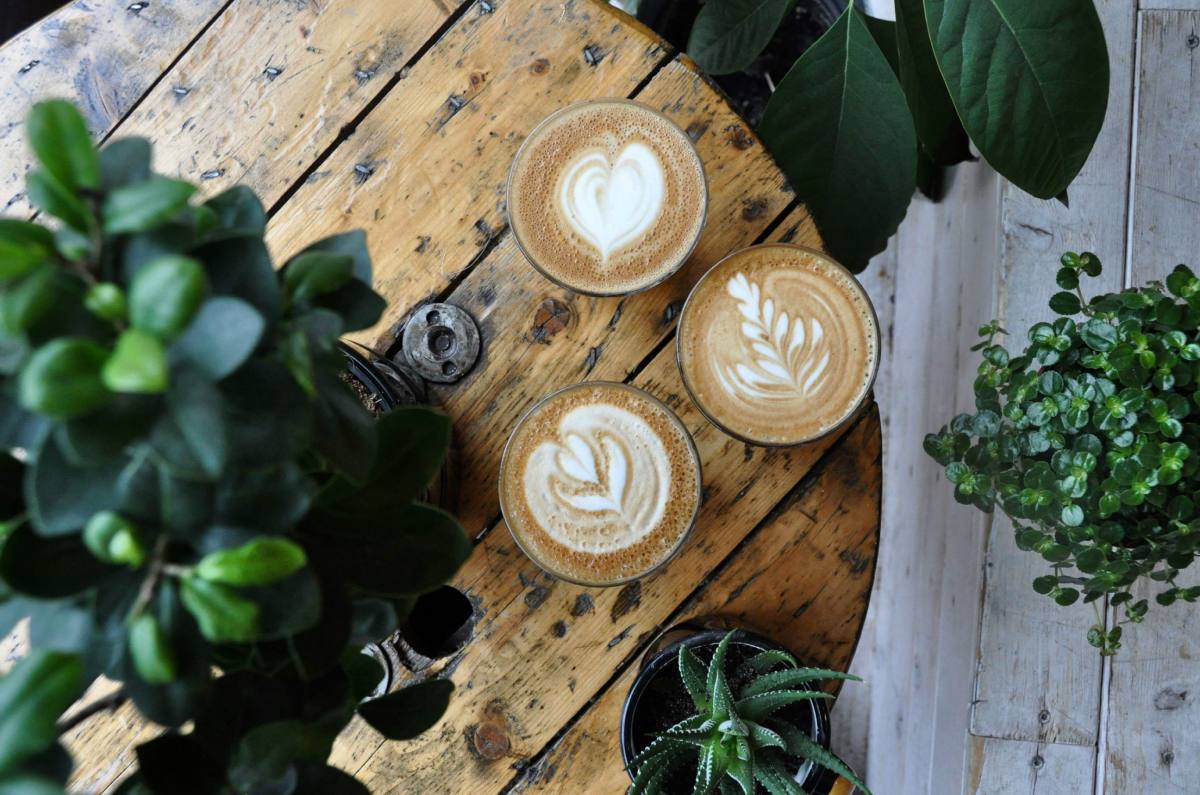 Tierra Viva: una cafetería entre plantas y artesanías en Coyoacán