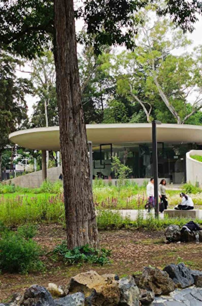 ¡La cafetería escondida que tienes que conocer en Chapultepec! 0