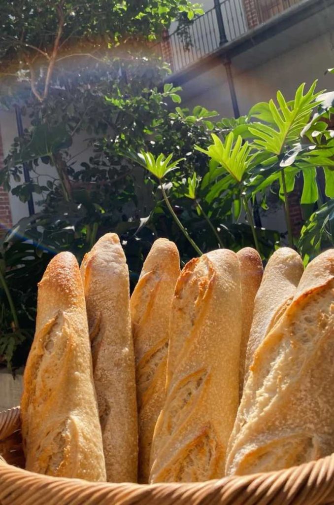 Café Dónde en el centro de CDMX, con brunch todo el día, pet friendly y un patio escondido.