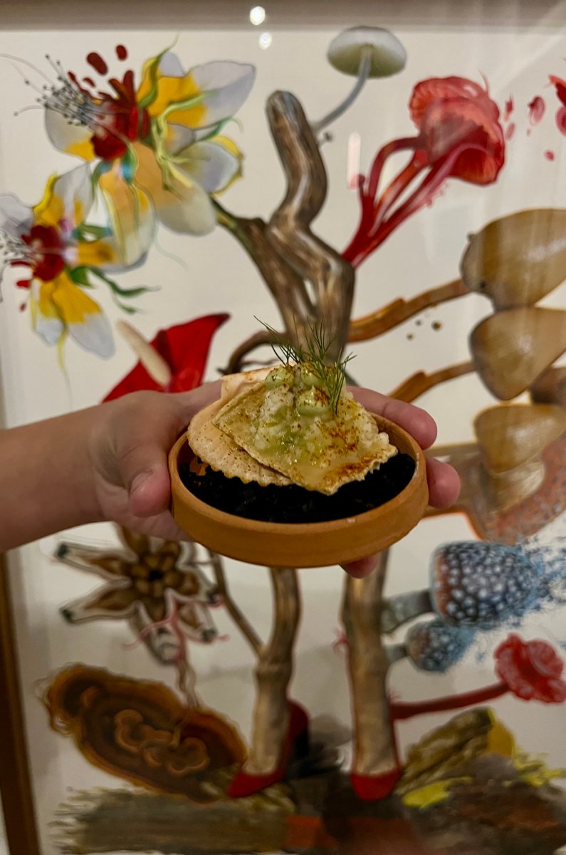 Foto: Sebastián Reyes (@sebas.noe)