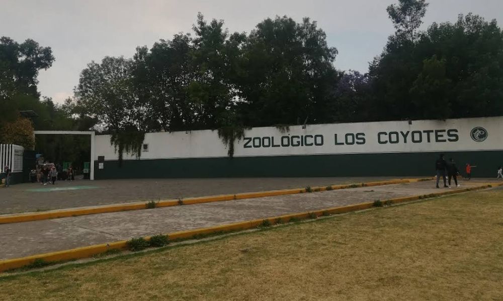 Zoológico Los Coyotes, lugares en Coyoacán para visitar